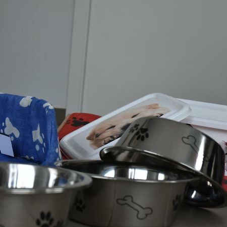 Apartamento Barbancho Casar de Cáceres 외부 사진